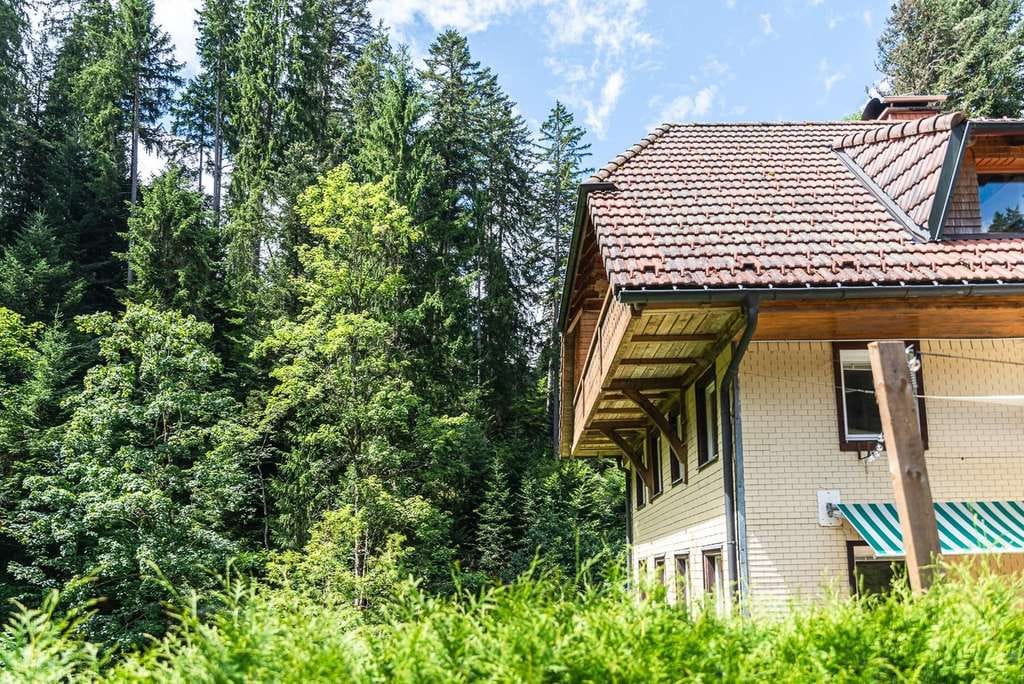 Immobilie in Breitnau - FREISTEHENDES HAUS IM SCHWARZWALD MITTEN IN DER NATUR - Mit Bach, Wiese & Wald + Gewerbepotential - Bild 5