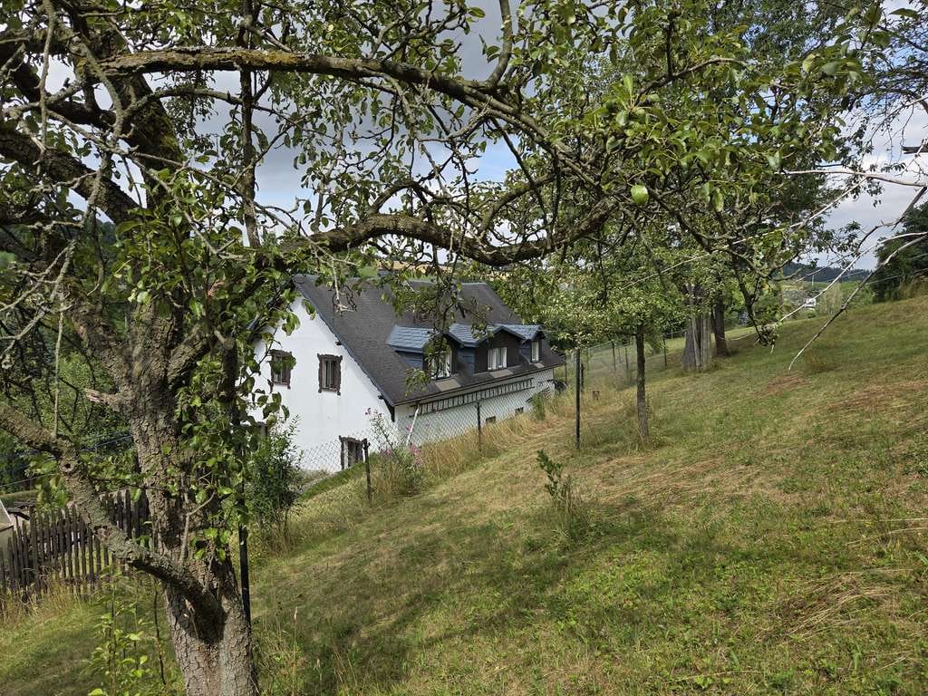 Immobilie in Frauenstein - EFH mit Nebengelass/Waldfläche - nahe Frauenstein - Bild 1