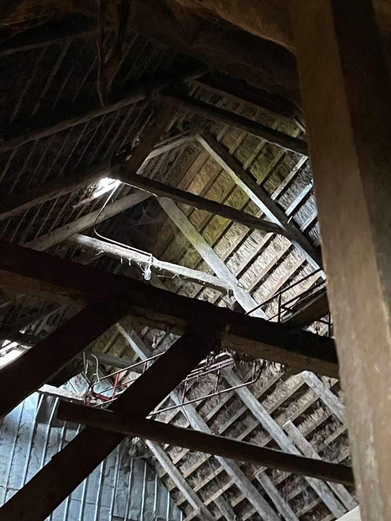 Immobilie in Welt - Haubarg Kornhof - Bild 4