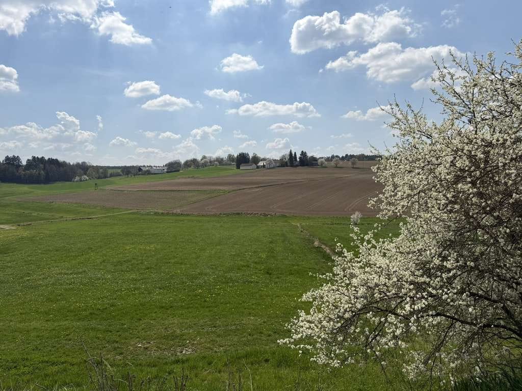 Immobilie in Arnstorf - Ehemalige Hofstelle, mit modern renoviertem Wohnhaus und  Wald-/Wiesenflächen - Bild 3