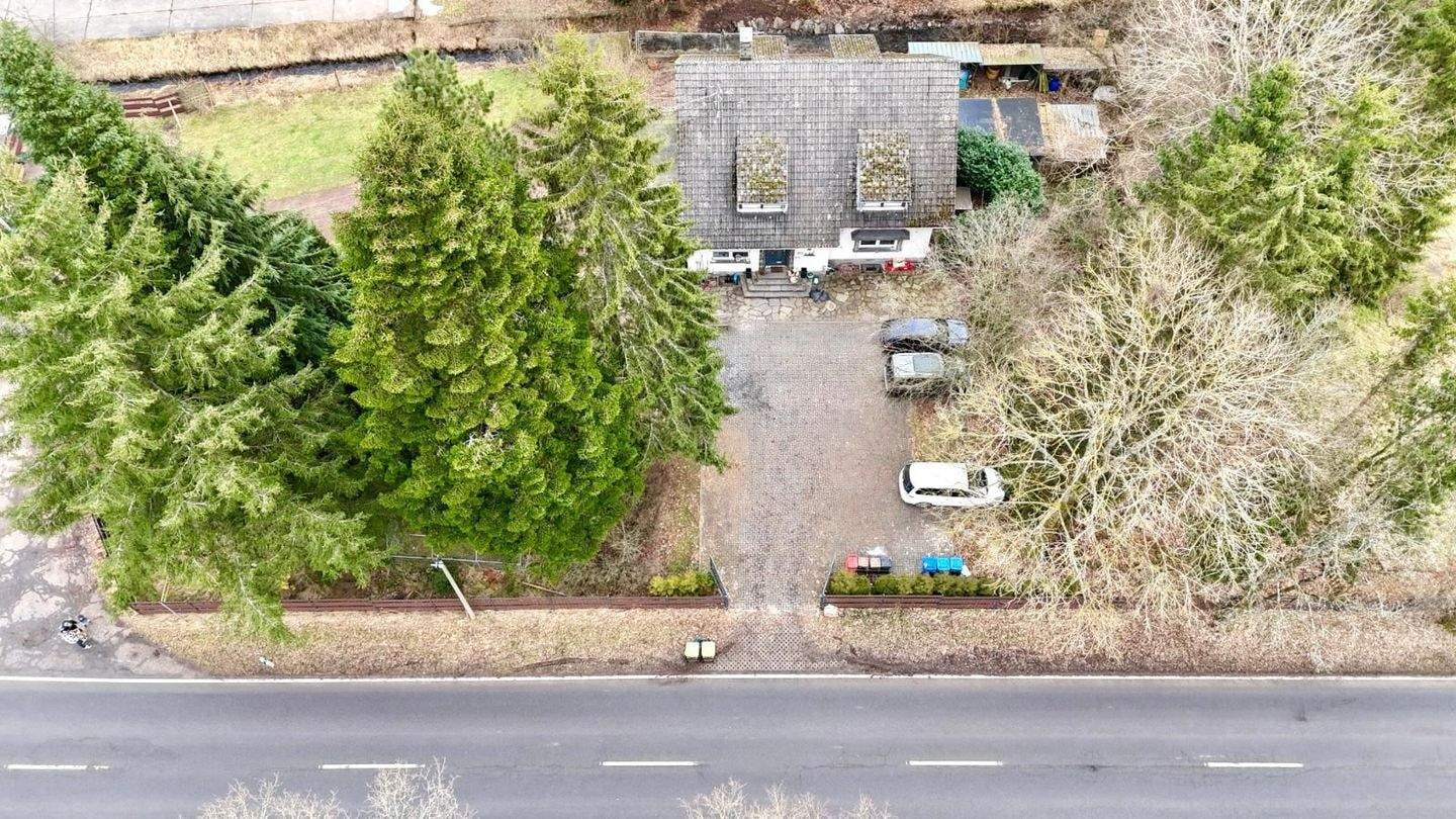 Immobilie in Dahlem - Traumhaft gelegenes Einfamilienhaus in Alleinlage – Natur, Ruhe und Raum für die ganze Familie - Bild 2