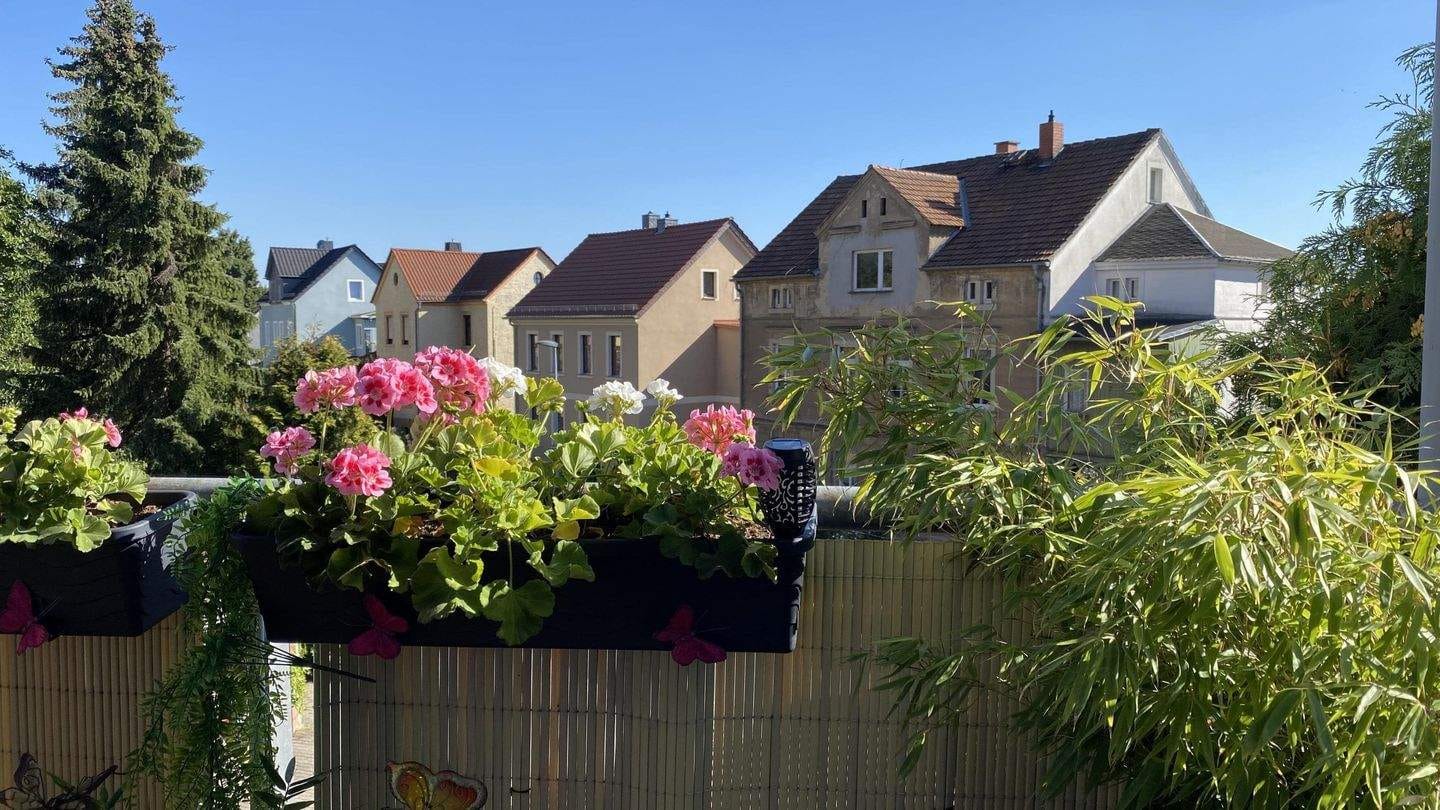 Immobilie in Lommatzsch - 2-Raum-Wohnung mit Balkon in Lommatzsch - Bild 2