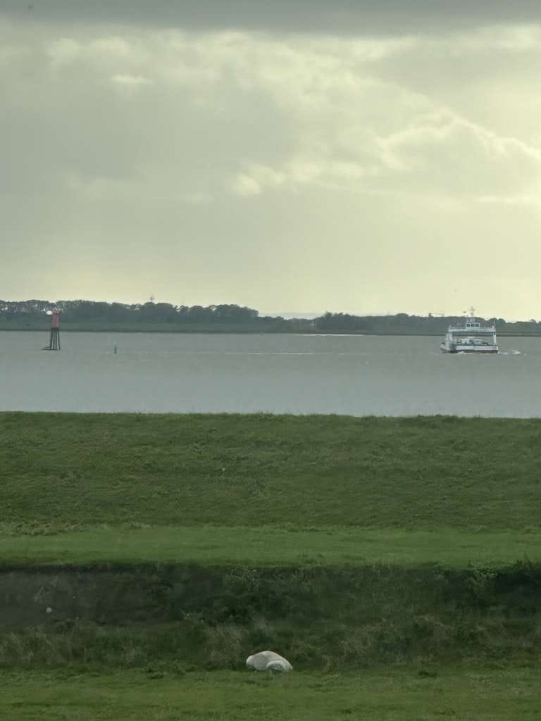 Immobilie in Engelbrechtsche Wildnis - Reethaus am Deich mit Elbblick und weiterem  Baugrundstück - Bild 2