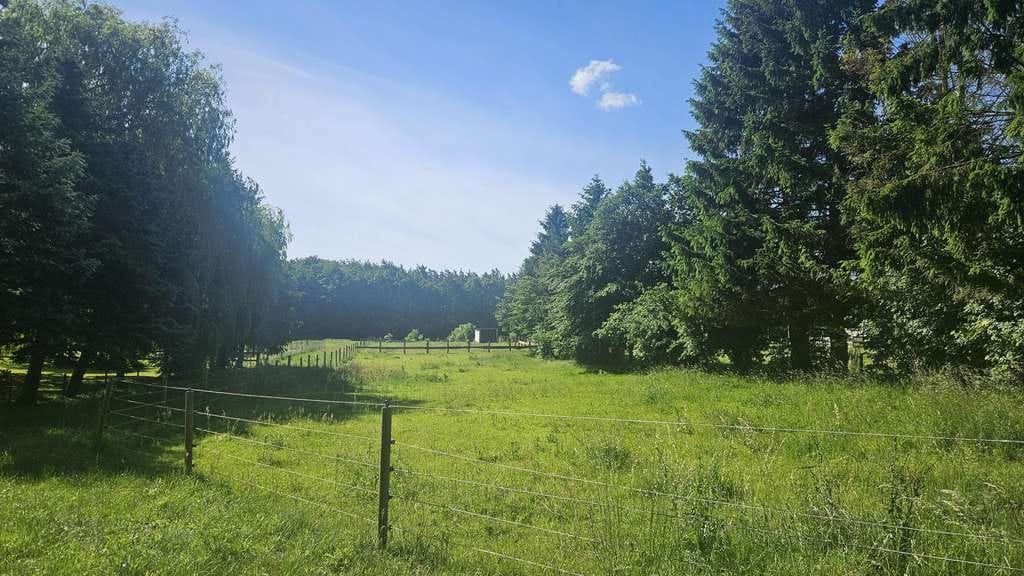 Immobilie in Karlsburg - Haus mit Pferdekoppel sucht Käufer - Bild 2