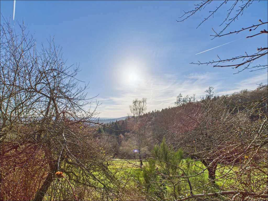 Immobilie in Johannesberg - Weitblick, Ruhe, Freiheit. 
Freuen Sie sich auf etwas Besonderes! - Bild 0