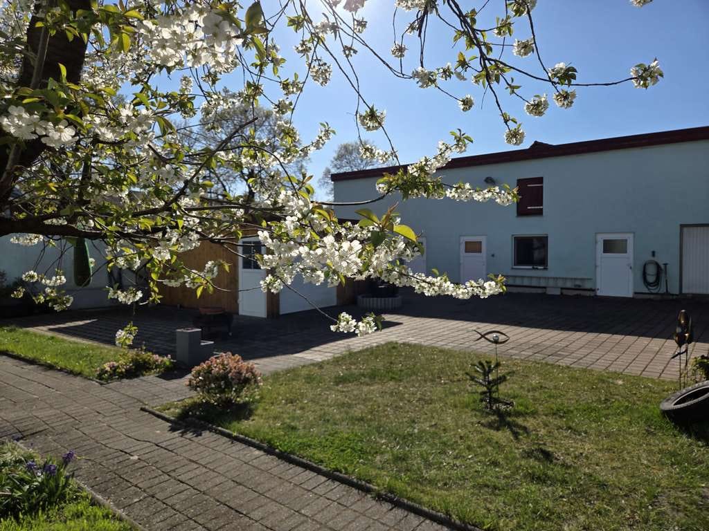 Immobilie in Ferdinandshof - TOP MFH mit schöner freiw. Eigentümerwohnung mit Sommergarten, fast zum Nulltarif......... - Bild 4