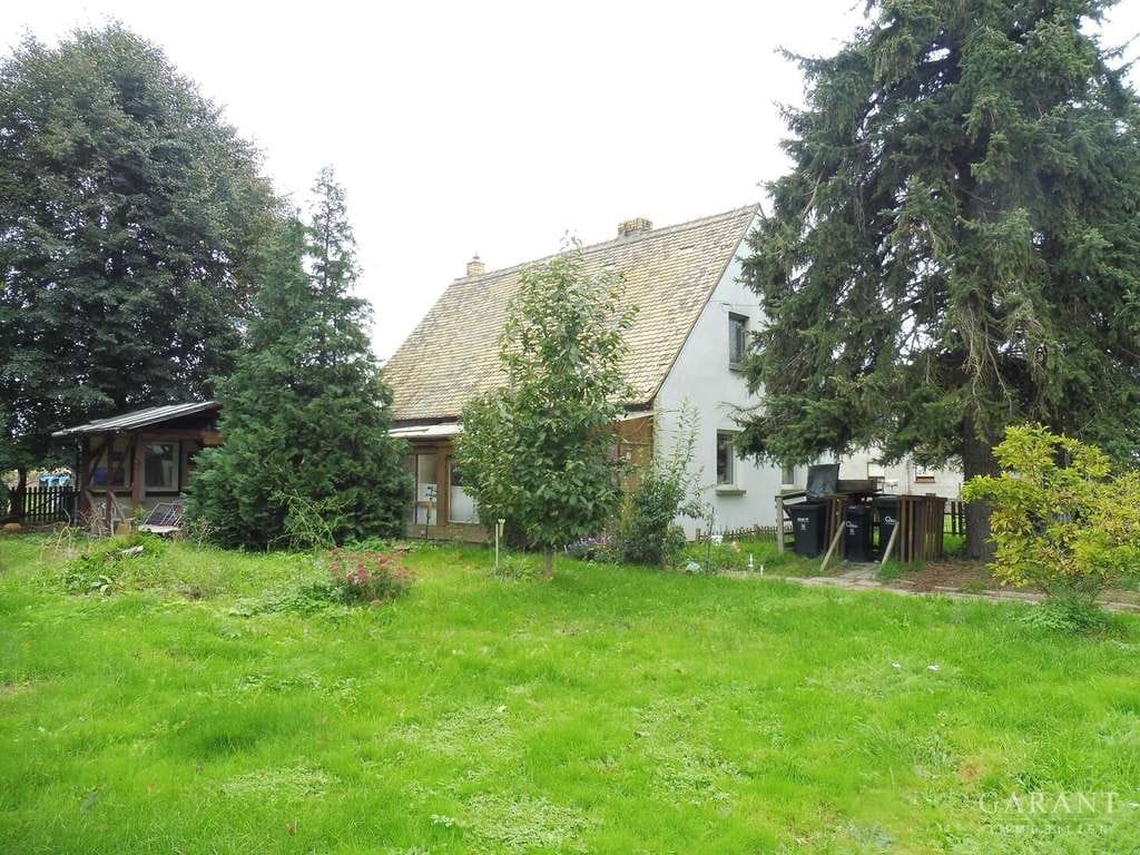 Immobilie in Lossatal - Einfamilienhaus mit großem Grundstück in ruhiger Lage - Bild 1