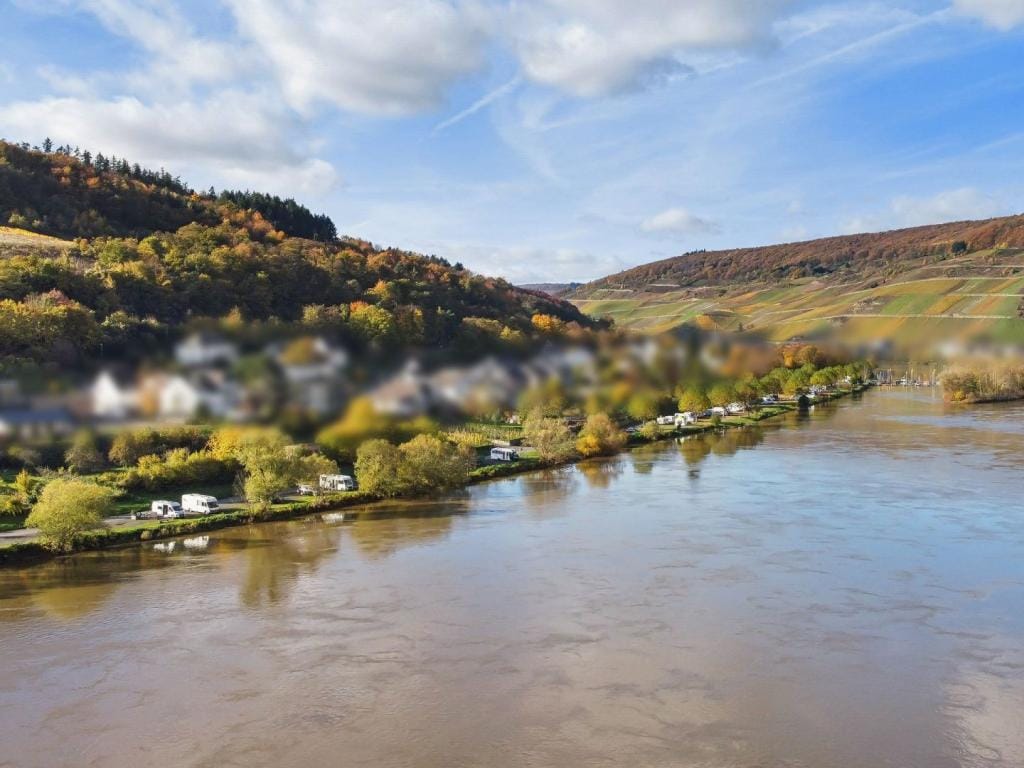 Immobilie in Zell (Mosel) -  - Bild 3