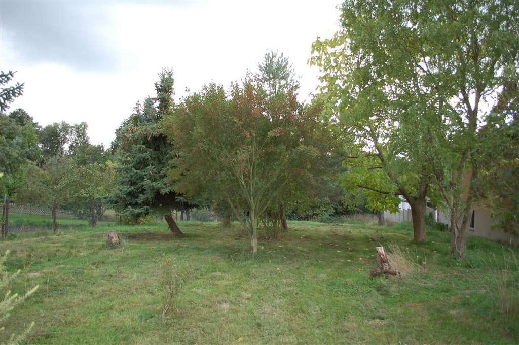 Immobilie in Belgern-Schildau - Stadthaus mit Nebengelass und romantischem Garten in Schildau - Bild 4