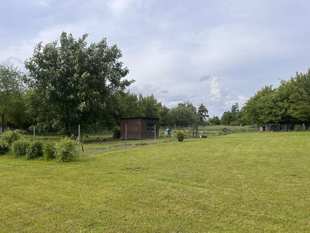 Immobilie in Dobbin-Linstow - Einfamilienhaus mit 130 m² Wohnfläche in Dobbin-Linstow - Bild 4