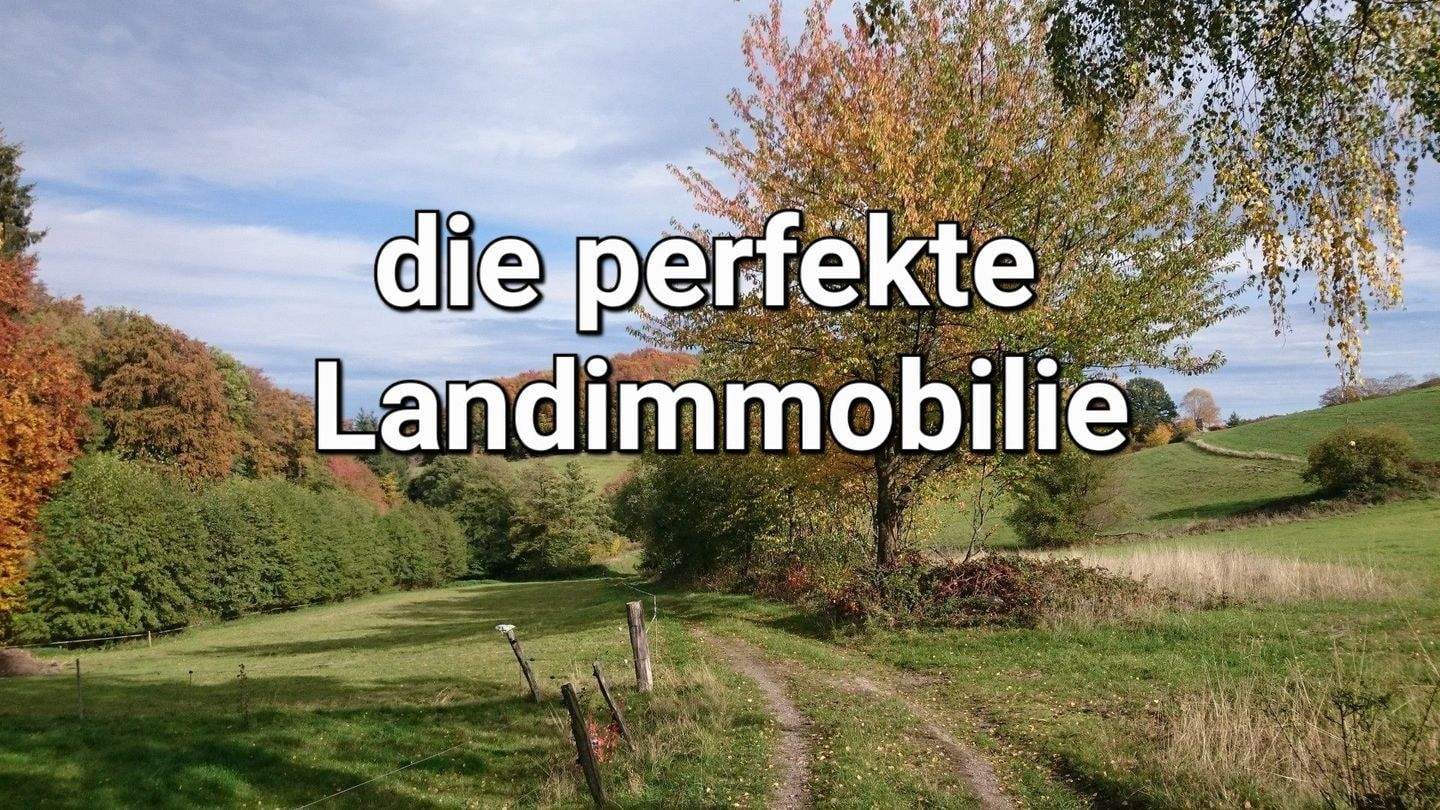 Immobilie in Maßbach - Besser geht's NICHT! - Bild 0