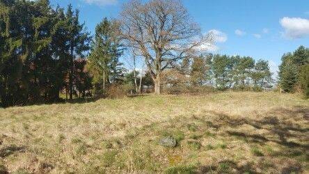 Immobilie in Lewitzrand - Raus aufs Land! 3.000 m² für Haus und Pferde + optional 4 ha Weideland - Bild 4