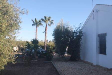 Immobilie in Engelschoff - Rustikale Finca mit Pool, Stadtstrom und grossen Olivenhain 20 Minuten vom Strand und Yachthafen - Bild 1