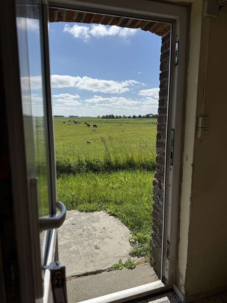 Immobilie in Westerhever - Kapitänsblick über die Marsch – seltene Hofstelle in Alleinlage in Westerhever - Bild 4