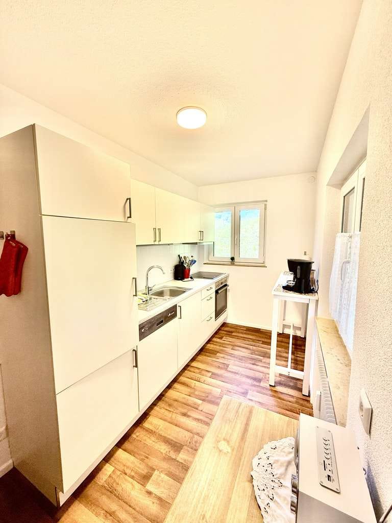 Immobilie in Kleines Wiesental - Idyllisches Haus mit Ferienwohnungen im kleinen Wiesental - Bild 3