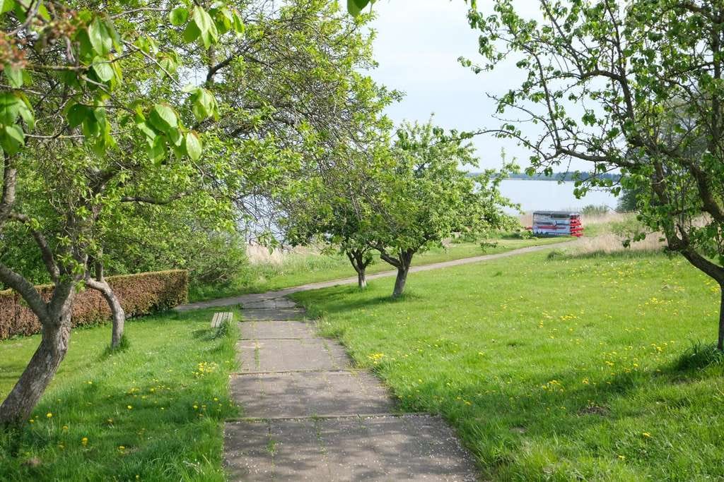Immobilie in Fahrdorf - Doppelhaushälfte in Fahrdorf am Ostseefjord Schlei. - Bild 4
