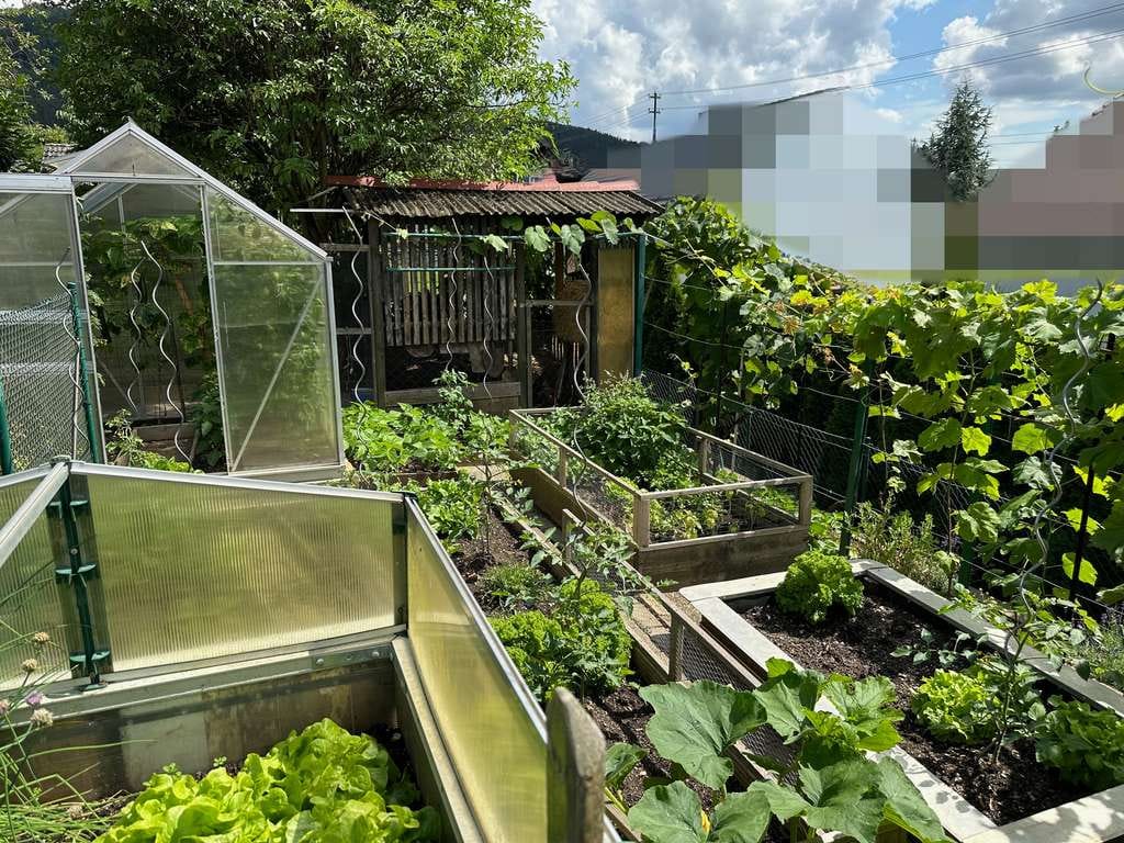 Immobilie in Denkingen - Mehrgenerationenhaus freistehend – Privat, ohne Provision - Bild 1