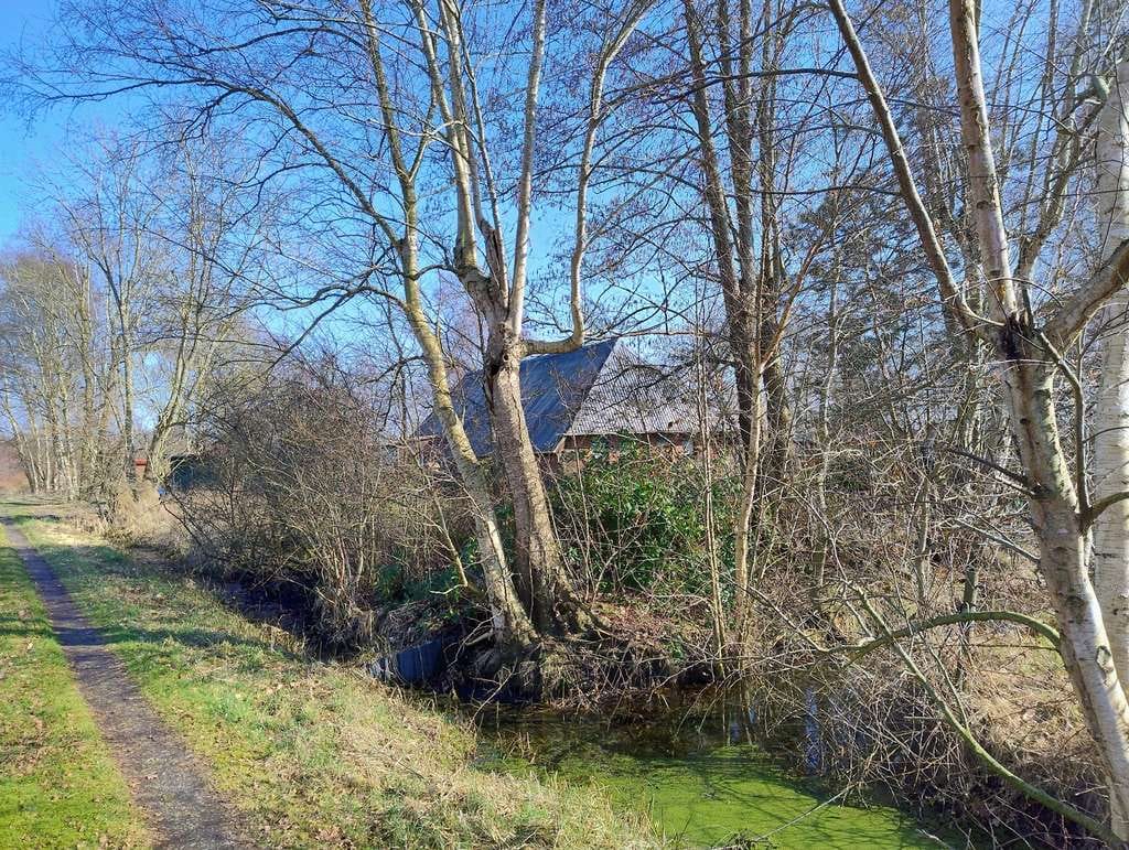 Immobilie in Ovelgönne - 204m entfernt vom Rest der Welt-Landhaus auf großem Grundstück - Bild 2