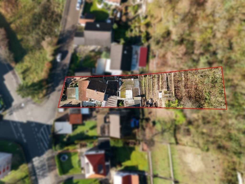 Immobilie in Grenzach-Wyhlen - Wo Familie, Natur und Lebensfreude zusammenfinden – besonderes Zuhause mit 1.231 m² Grundstück - Bild 3