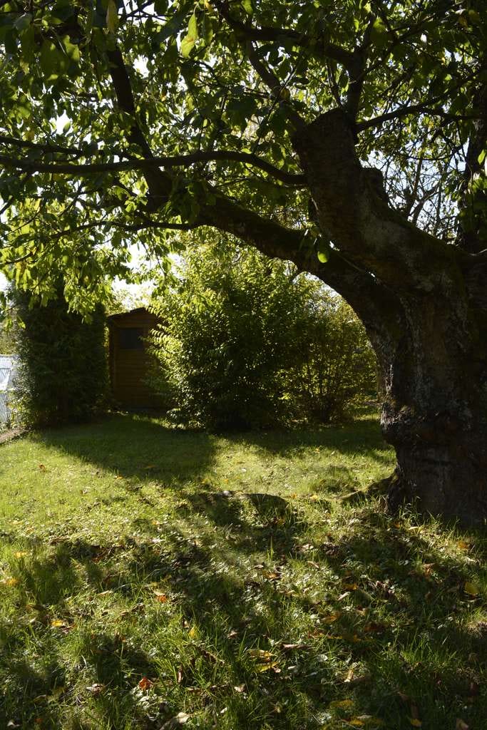 Immobilie in Staufenberg - Mehrfamilienhaus in Mainzlar mit Weitblick und idyllischem Garten - provisionsfrei - Bild 3