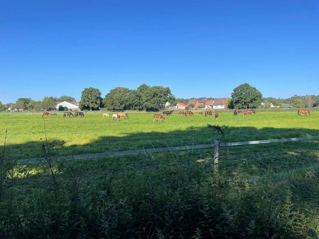 Immobilie in Nienhagen - Eigentumswohnung über 2 Ebenen in Nienhagen zu verkaufen - Bild 4