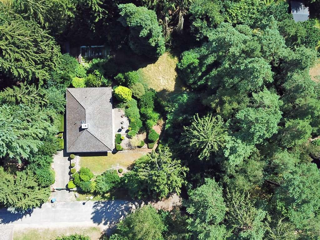 Immobilie in Egestorf - Charmanter Bungalow auf herrlichem Grundstück - Bild 1