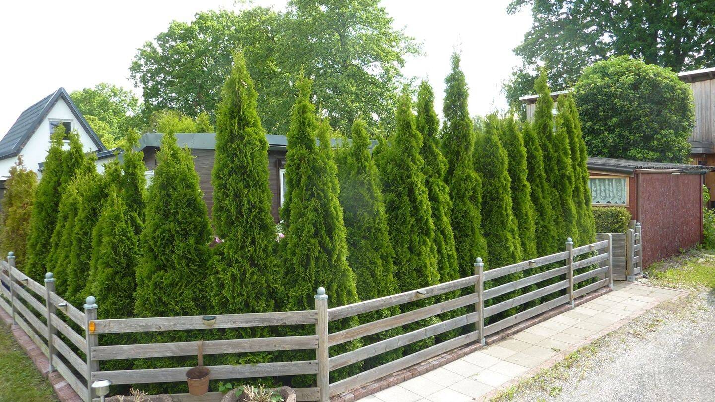 Immobilie in Tespe - Holzhaus, Dauer-Wohnen oder Wochenendhaus auf Campingplatz - Bild 4