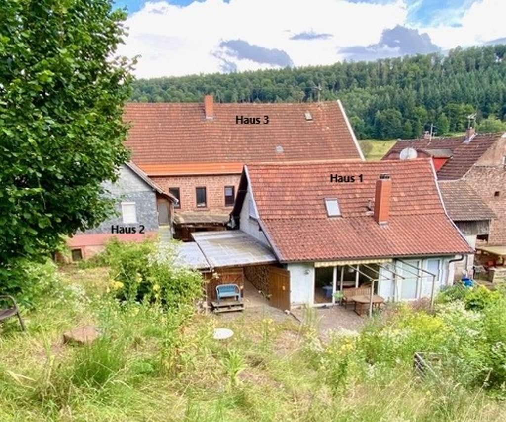 Immobilie in Elmstein - EFH+ELW mit gr. Garten & Nebengebäude - Bild 1