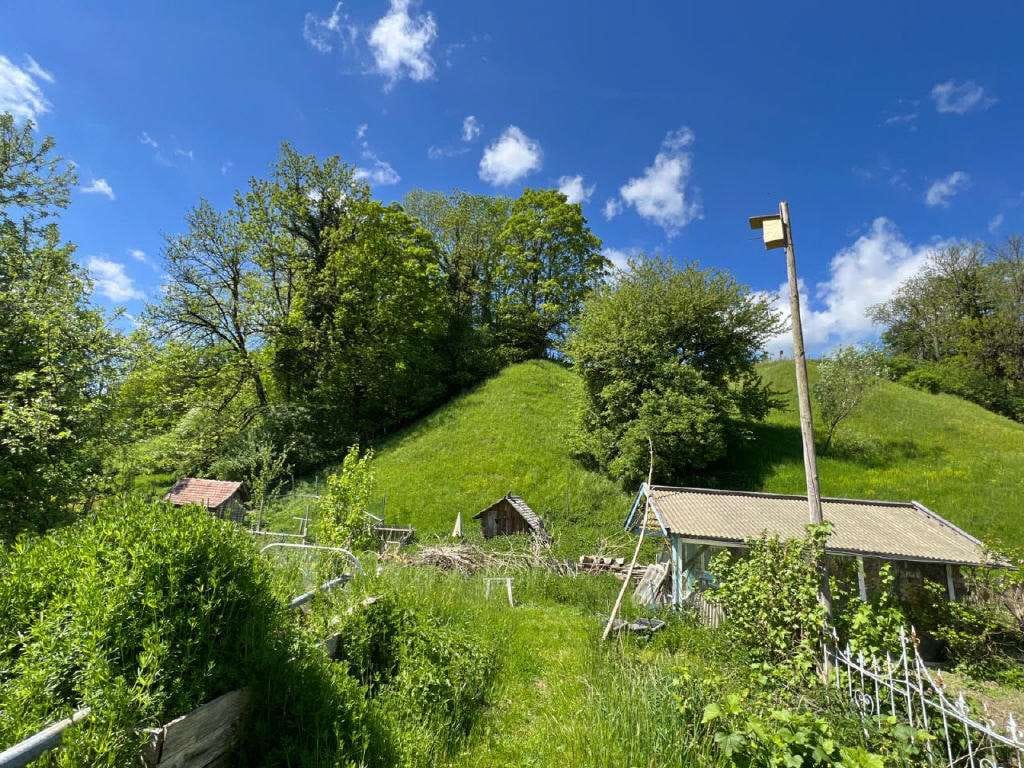Immobilie in Argenbühl - Wunderschöne Bauernhaushälfte mit über 8.000 qm Grundstück - Bild 3
