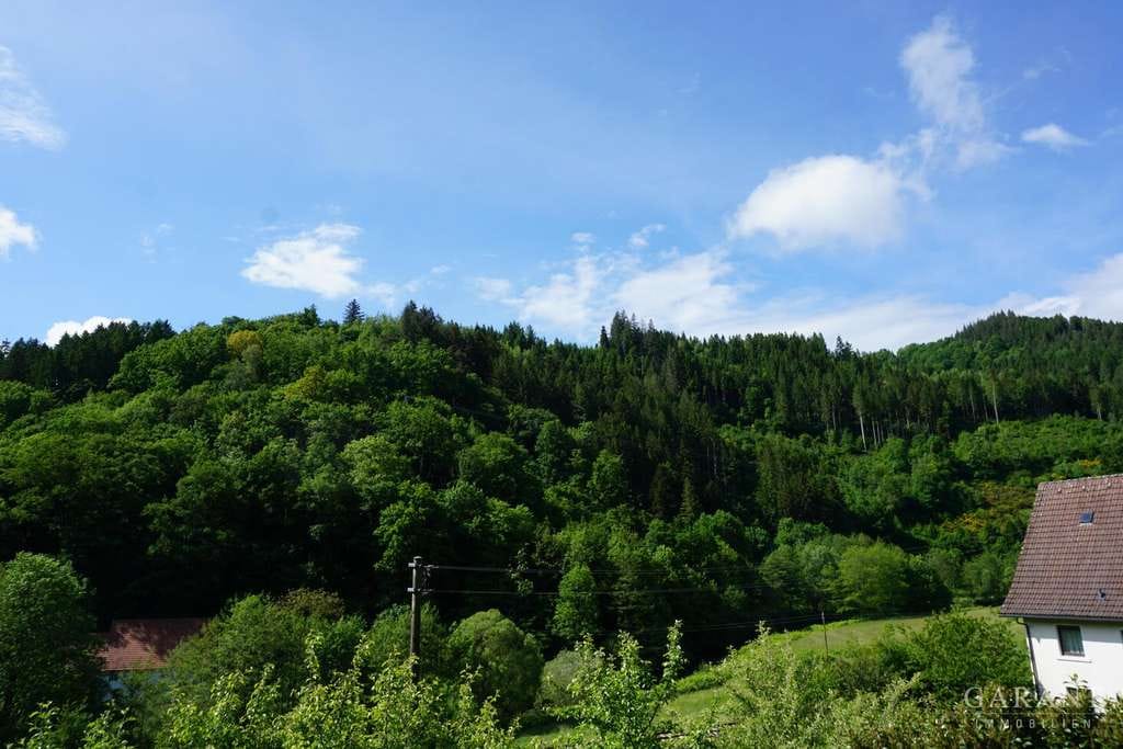 Immobilie in Schiltach - Wohnhaus mit herrlicher Aussicht in Schiltach-Vorderlehengericht - Bild 1