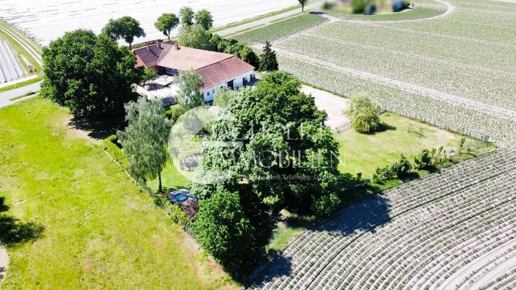 Immobilie in Lüder - Weitblick inklusive – Hofanwesen mit parkähnlichem Garten und besonderer Privatsphäre - Bild 2