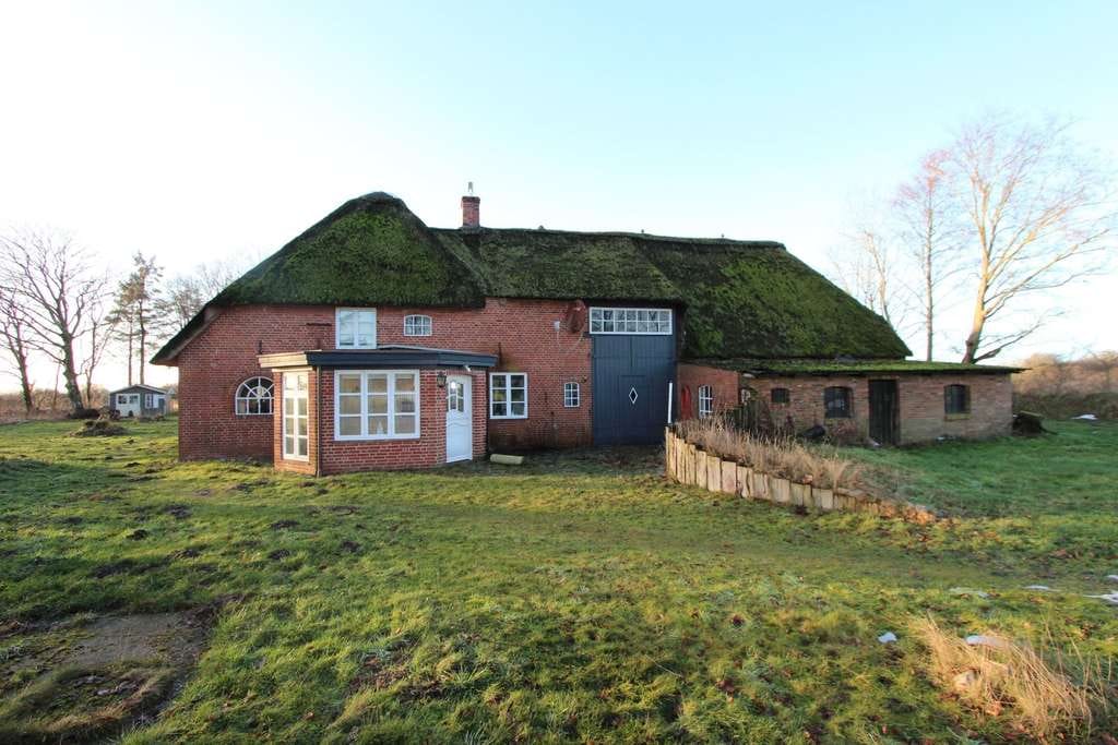 Immobilie in Humptrup - Friesenhaus unter Reet in traumhafter und absoluter Natur-Alleinlage - Bild 3