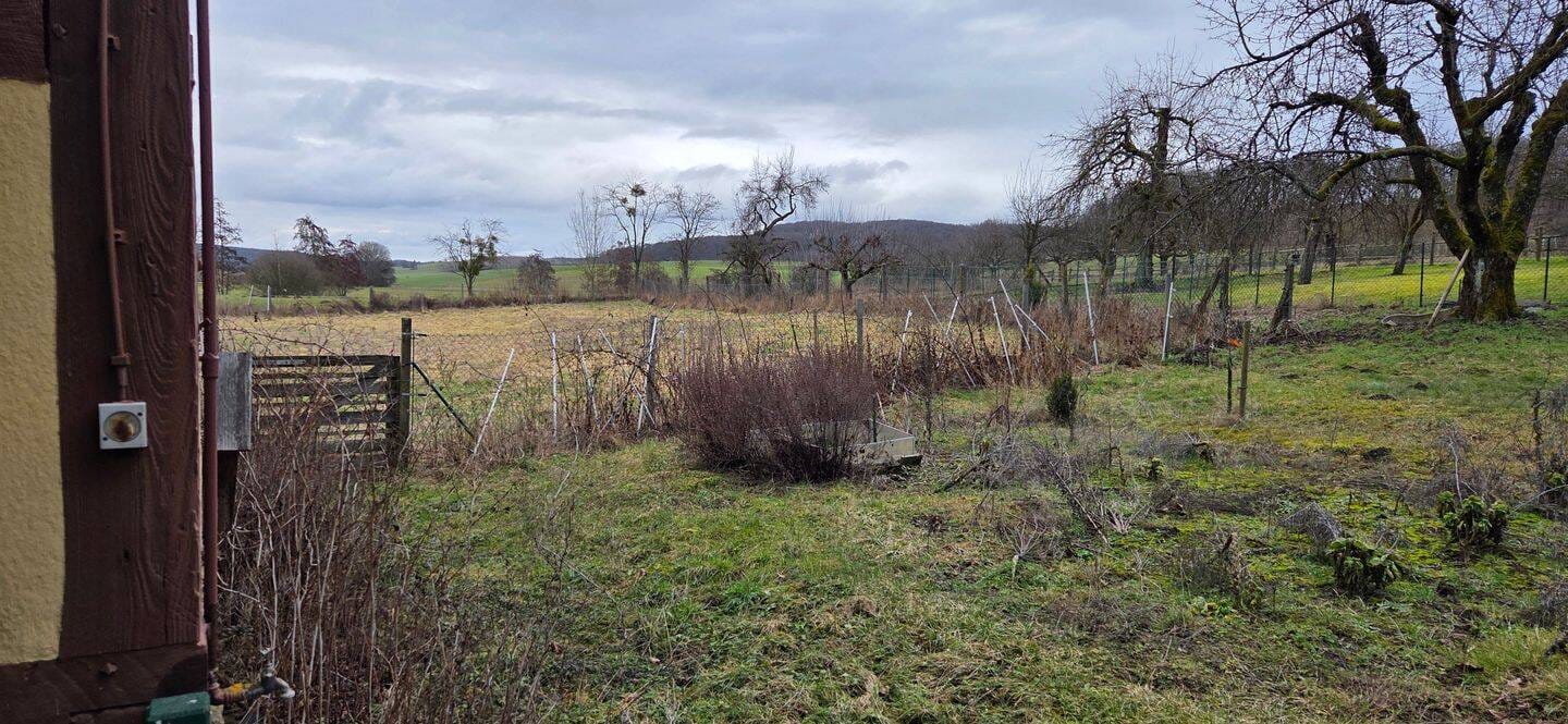Immobilie in Gladenbach - Ideal für Tierhaltung: Wohnhaus mit Stallungen und Scheune mit 3603 m² Grundstück - Bild 4