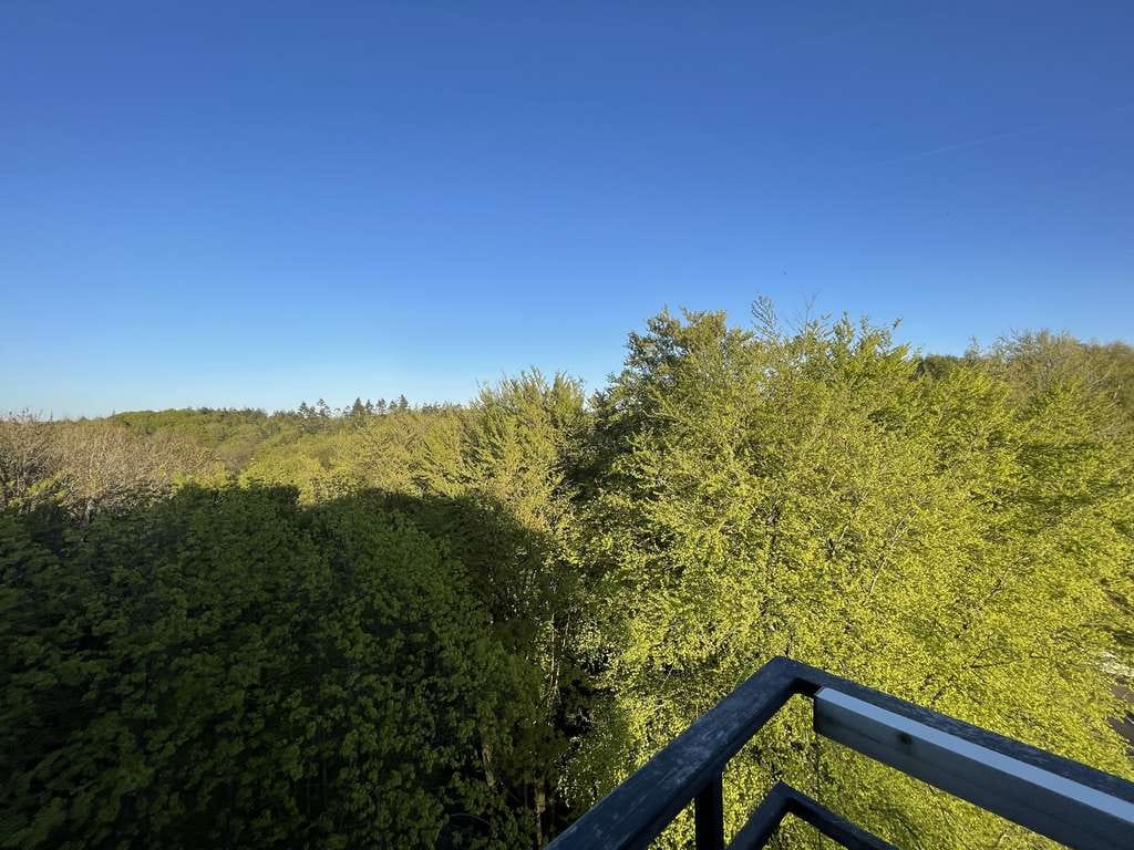 Immobilie in Glücksburg - Ostsee, dem Himmel ein Stück näher, toller Ausblick, 2 Wohnungen - Bild 2