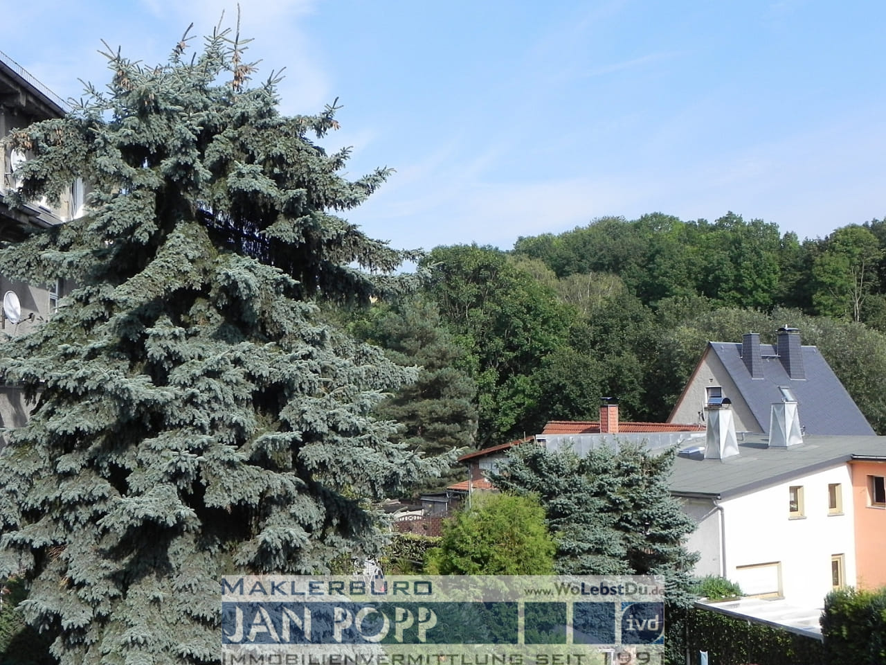 Immobilie in Greiz - 2-Raumwohnung für Anleger oder Selbstnutzer - Bild 2