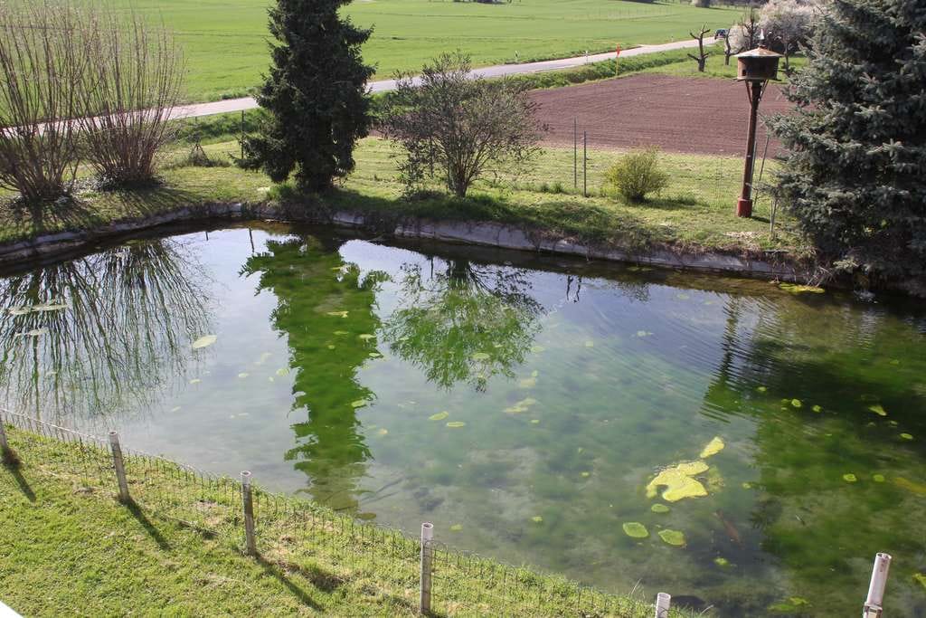 Immobilie in Nordheim - Landwirtschaftliche Hofstelle (ehem. Weingut) in idyllischer Lage im Landkreis Heilbronn - Bild 0