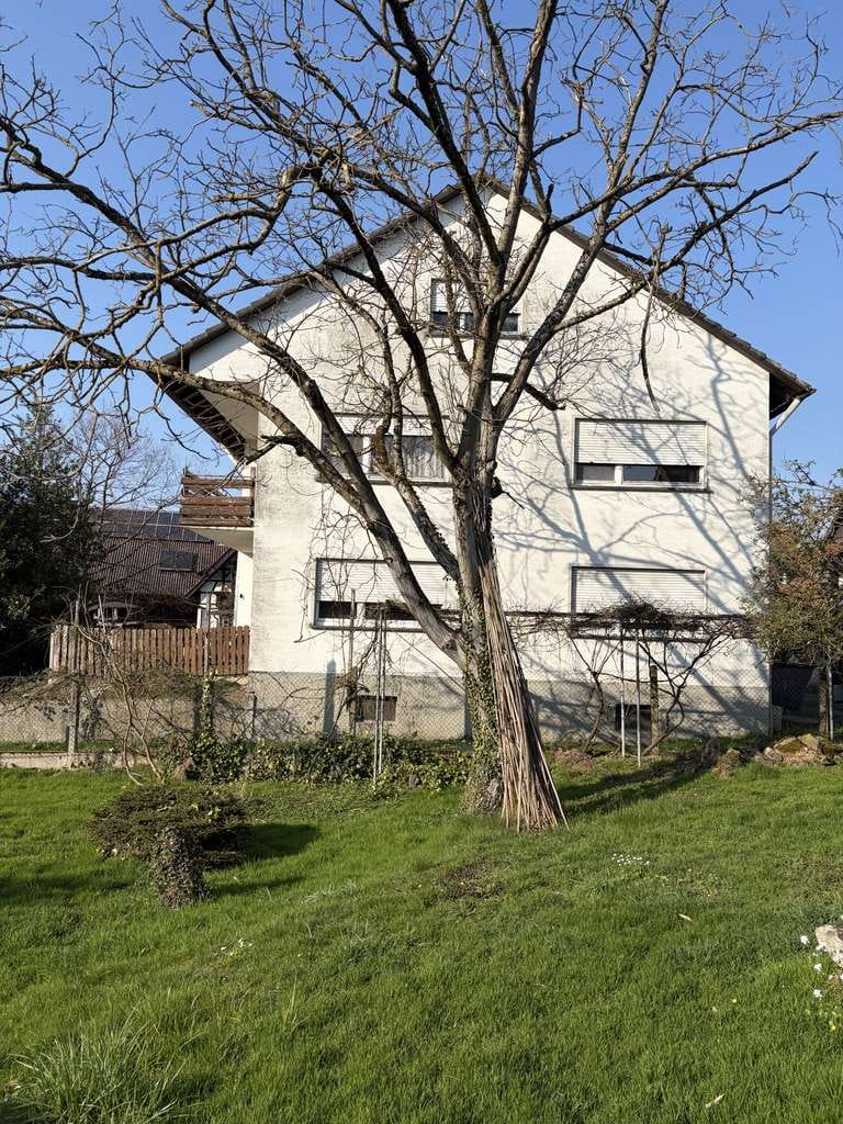 Immobilie in Willstätt - 7-Zimmer-Haus am Schutter-Ufer: 1.468 m² Grundstück & viel Potenzial - Bild 2