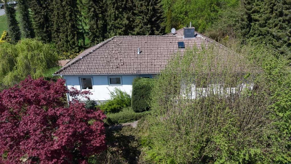 Immobilie in Bad Driburg - Einfamilienhaus mit Raum und großem Gartenparadies in Bad Driburg - Bild 2