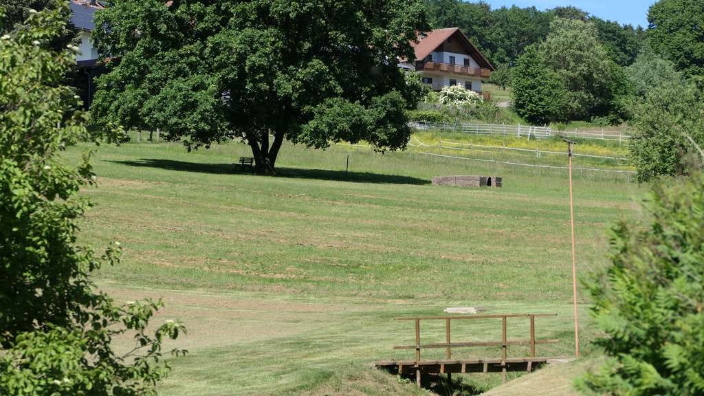Immobilie in Mossautal - ### 150 QM MODERNE LANDIDYLLE AUF TRAUMGRUNDSTÜCK: BACHLAUF, QUELLE, GRILLKOTA U.V.M ### - Bild 1