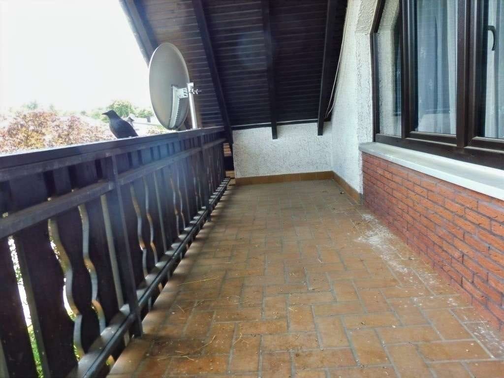 Immobilie in Argenthal - Sehr gepflegtes Anwesen sucht neue Aufgaben - Bild 4