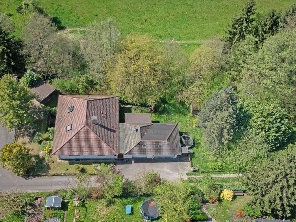 Immobilie in Bammental - Einfamilienhaus mit großem Grundstück in idyllischer Lage von Bammental - Bild 3