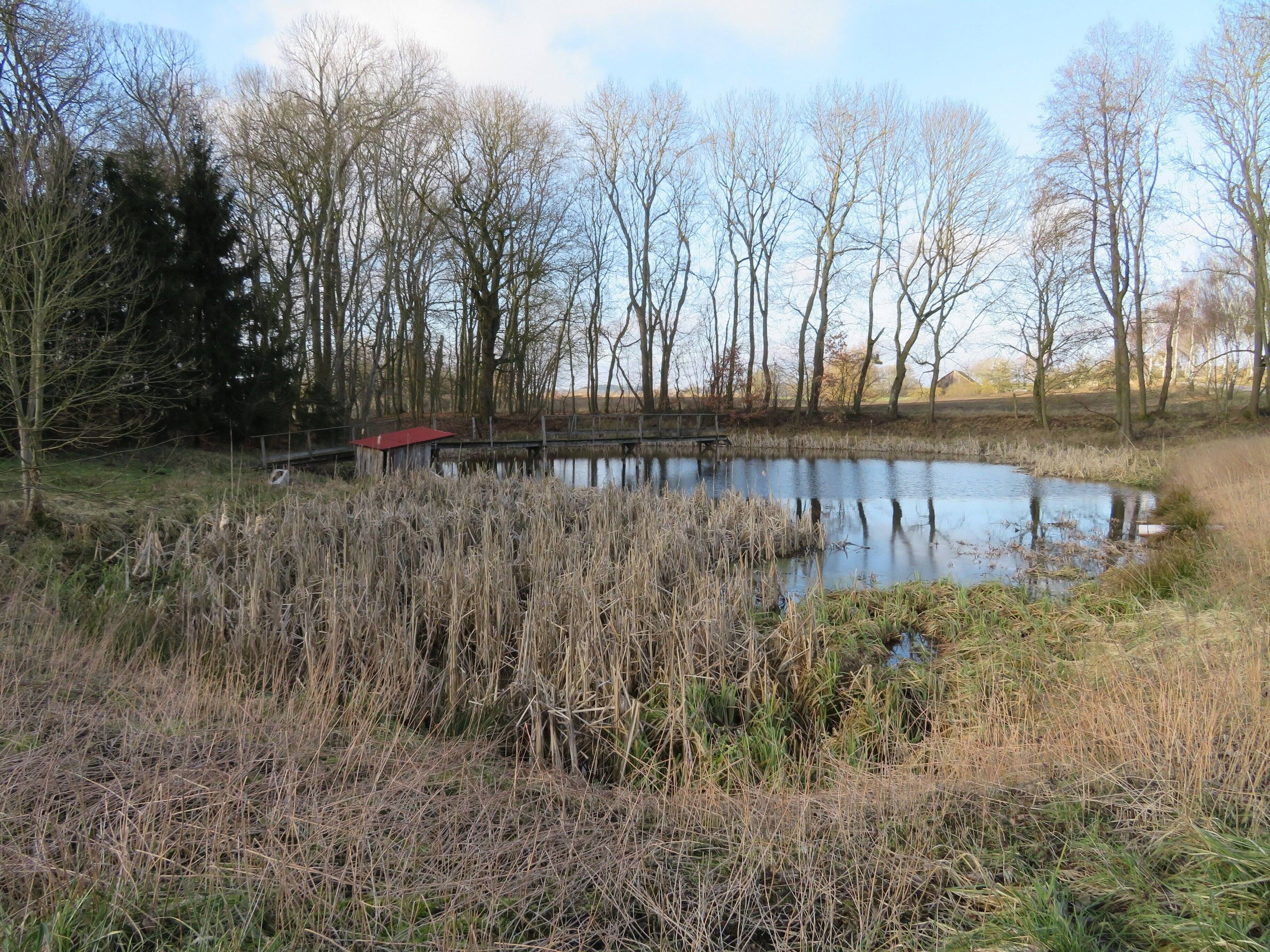 Immobilie in Nordwestuckermark - sehr gepflegtes Bauernhaus mit Stall, Scheune und Teich auf großem Grundstück - Bild 2
