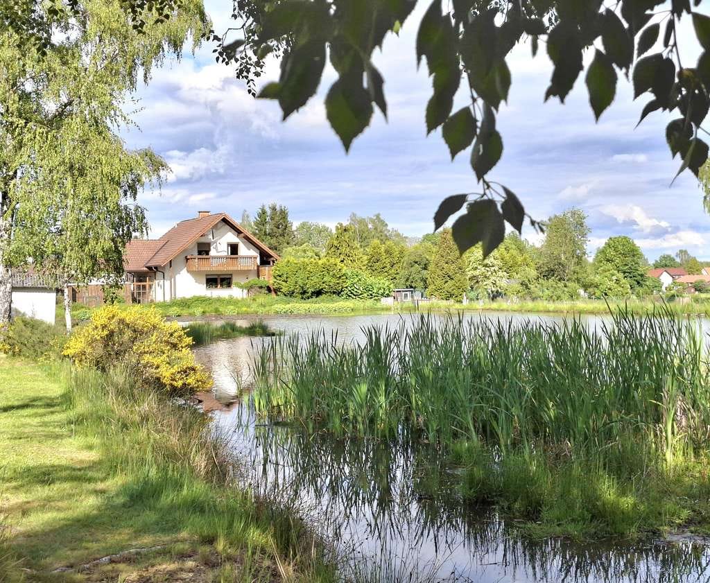 Immobilie in Tröstau - Naturparadies mit eigenem Weiher, Bauplatz, 5.000 qm Grund - Bild 0