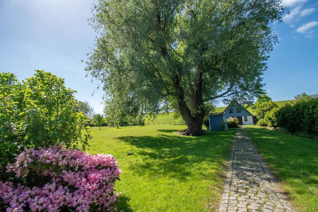 Immobilie in Brokdorf - Eine Deichperle wie aus einem Bilderbuch in Brokdorf - Bild 2