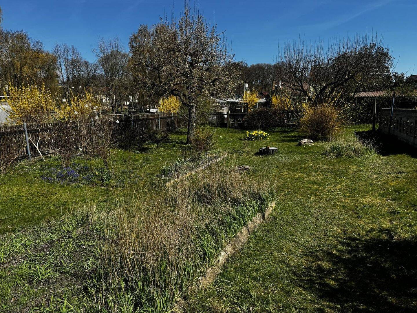 Immobilie in Dahlen - Kleines Stadthaus mit Garten in Dahlen zu verkaufen - Bild 3