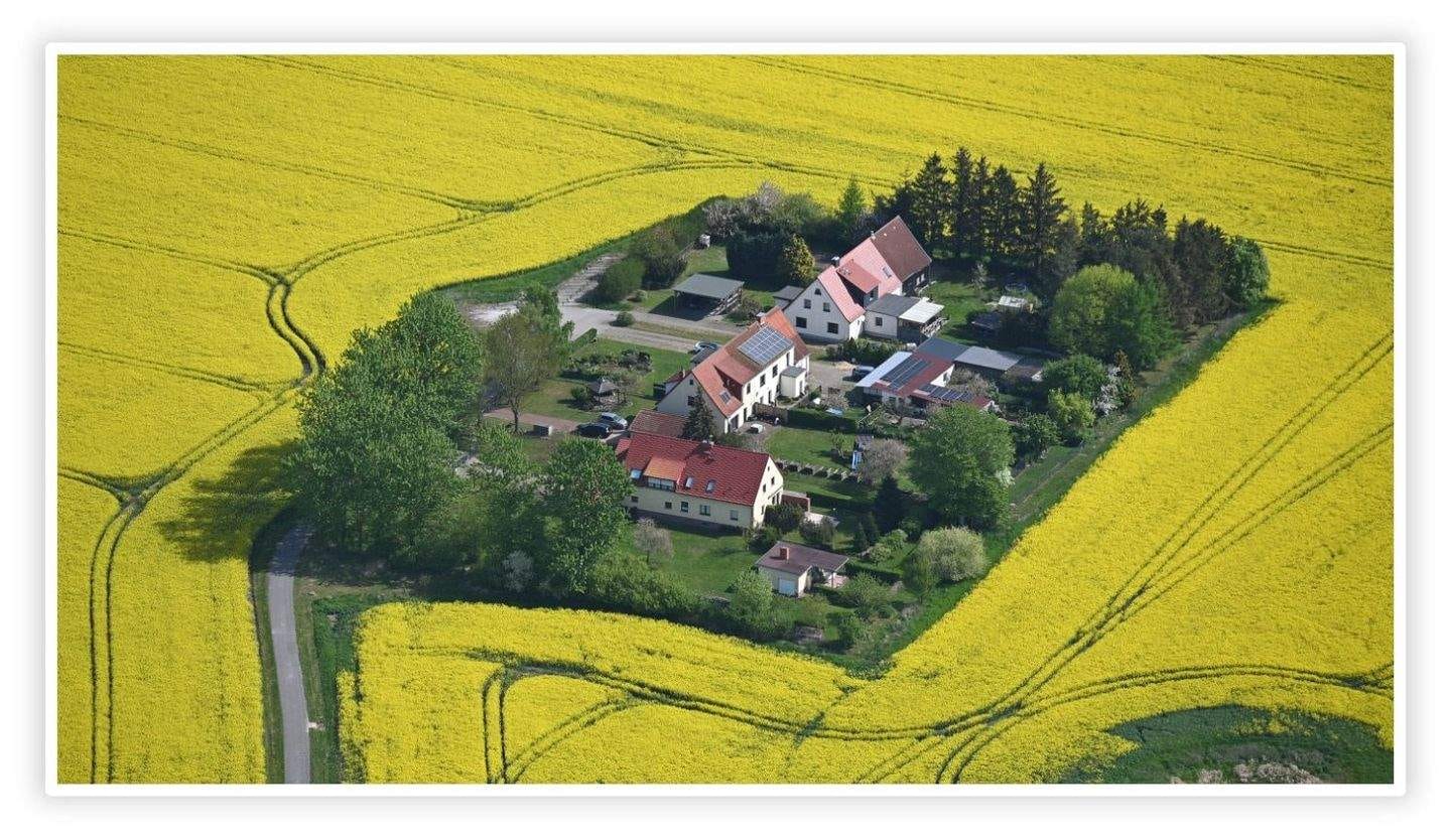 Immobilie in Admannshagen-Bargeshagen - Traumhaus in Traumlage - in 10 Minuten am Meer - Bild 1