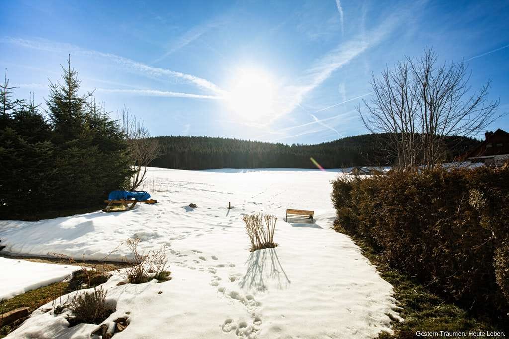 Immobilie in Todtnau - Naturblick inklusive: Gepflegte 2-Zimmer-Wohnung mit Terrasse in Herrenschwand zu verkaufen - Bild 1