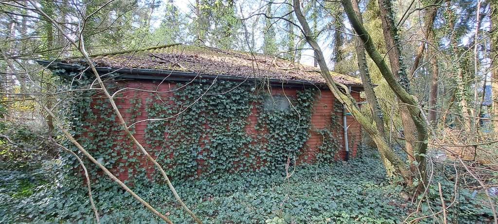 Immobilie in Vierden - Zivilisationsnahe Natur-Idylle  . . . - Bild 2