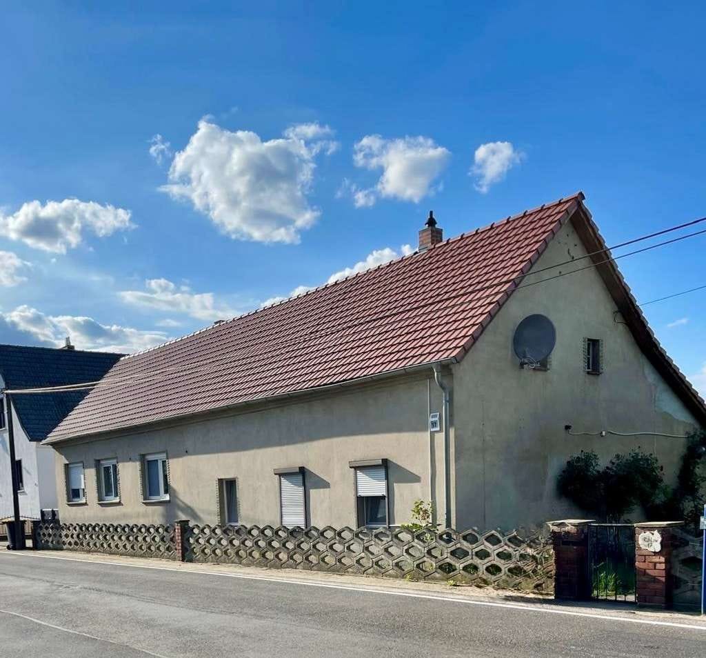 Immobilie in Neuhausen/Spree - Großzügiges Einfamilienhaus mit einem Innenhof und viel Ausbaupotenzial in Koppatz zu verkaufen! - Bild 1