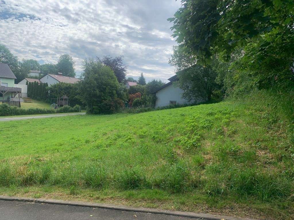 Immobilie in Leupoldsgrün - Ein-/Zweifamilienhaus in Leupoldsgrün - Bild 3